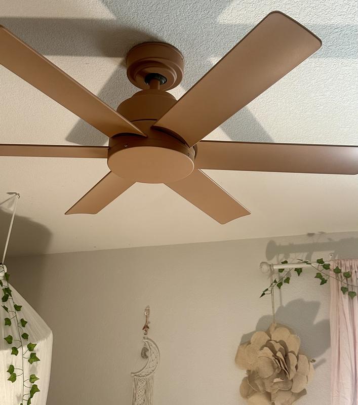 Hunter Colby 52 Matte Black Outdoor Ceiling Fan Reviews Shelly Lighting