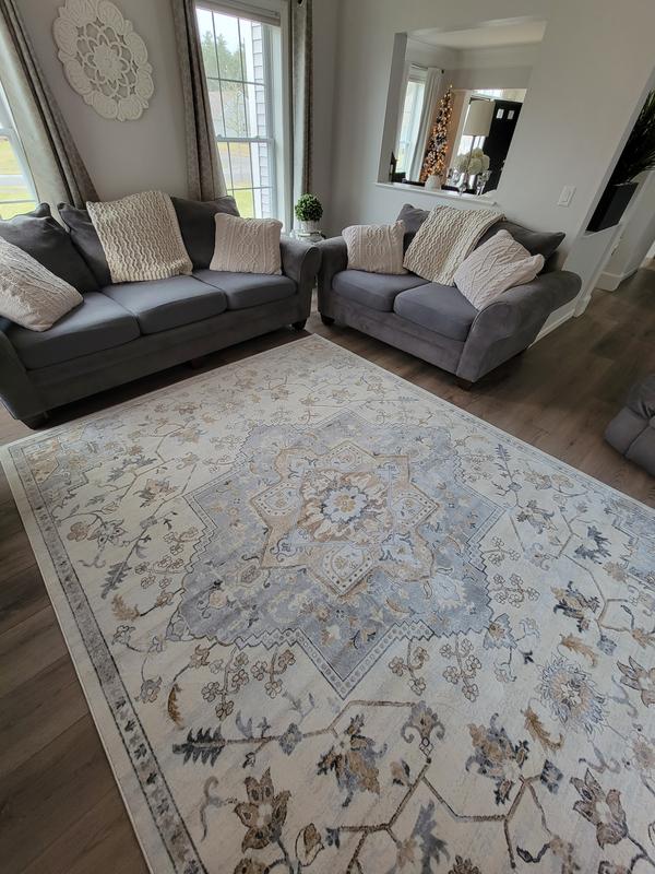 allen + roth with STAINMASTER Tess 2 X 7 (ft) Cream Indoor/Outdoor  Medallion Runner Rug in the Rugs department at