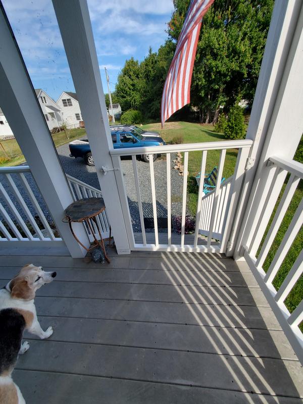 Wolf Handrail 36-in L x 42-in H White Aluminum Deck Railing Gate in the ...