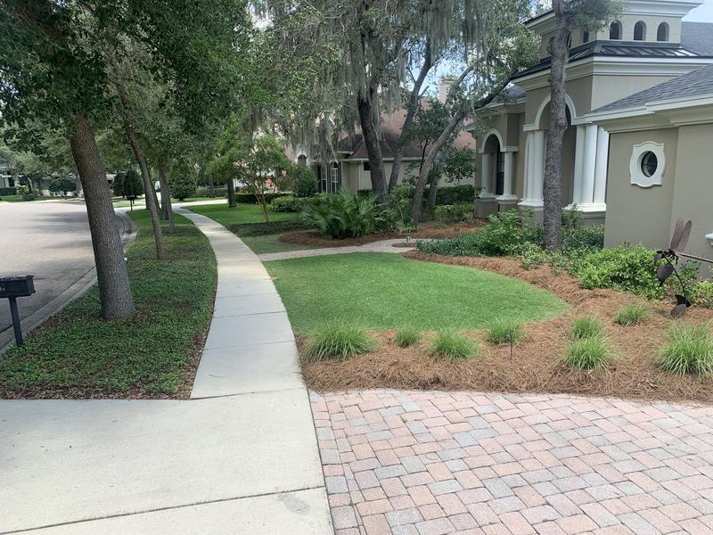 Long Leaf Pine Needles (up to 3200 sq ft Coverage) in the Pine Needles &  Straw Mulch department at