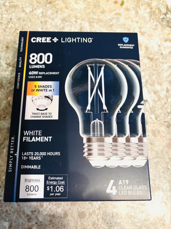 Shop Cree Lighting (1-Pack) White Filament 60 -Watt EQ A19 Soft white ...