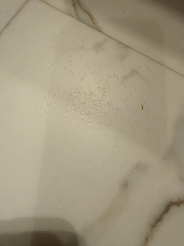 Pergo Rome Marble White Marble Look 22-mil x 12-in W x 24-in L ...