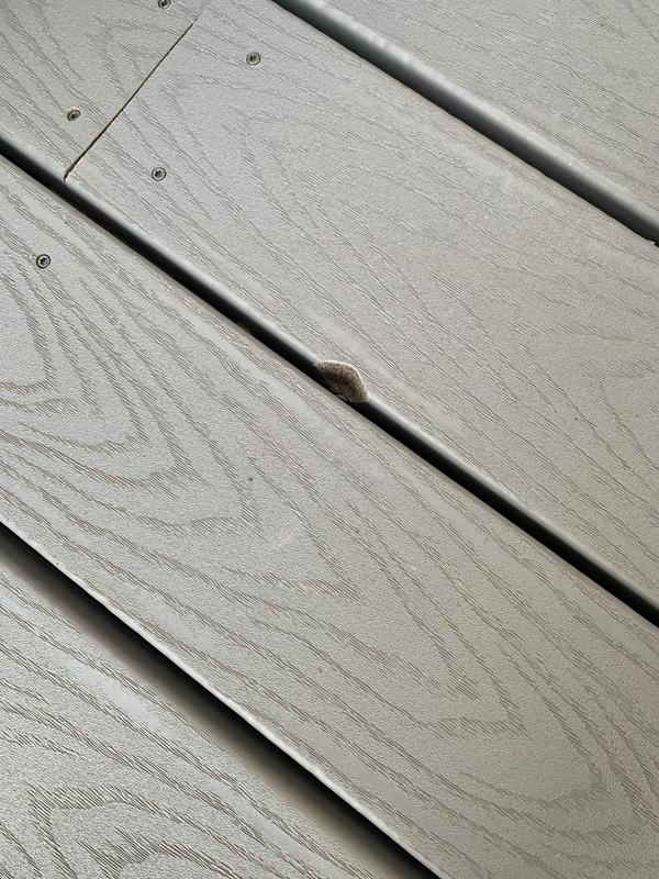 Trex Select 1-in x 6-in x 20-ft Pebble Grey Square Composite