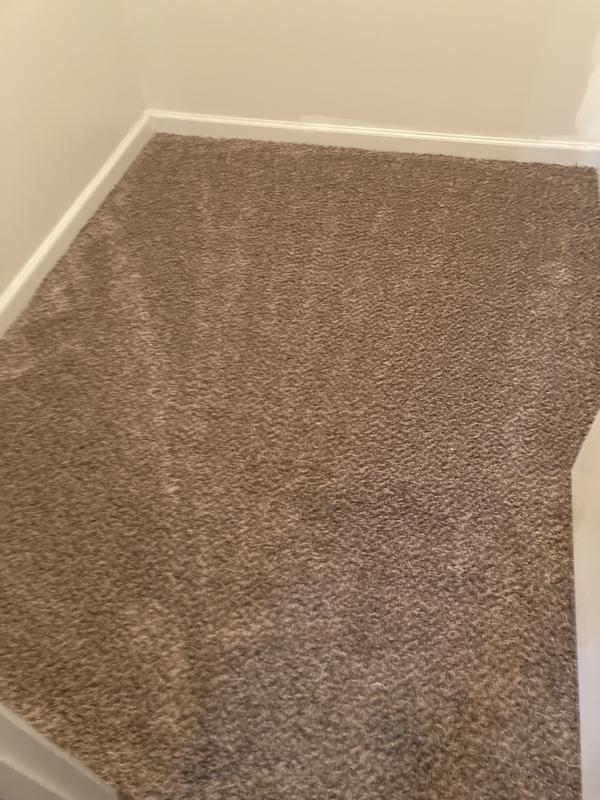 Shaw Thunderstruck RR Impact Textured Carpet Sample (Interior) Shaw Thunderstruck RR Impact Textured Carpet Sample (Interior)