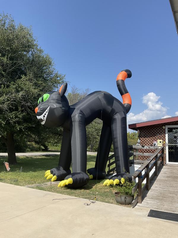 Haunted Hill Farm 19.69-ft Lighted Cat Inflatable HIBCAT202-L at Lowes.com