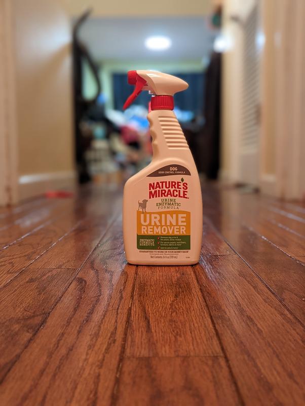 Nature s Miracle Spray Stain Remover 24 Fluid Ounce P 98360 at Lowes