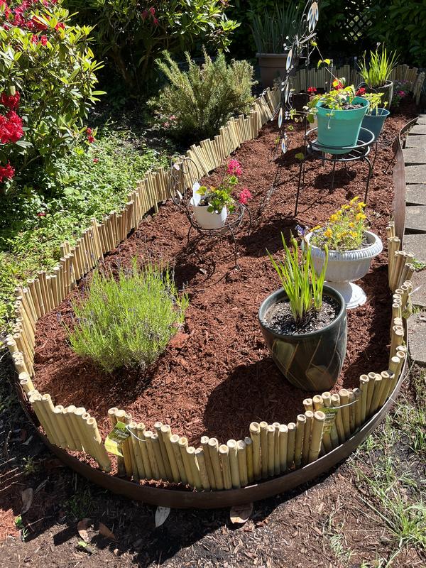 Backyard X-Scapes 9.5-ft x 8-in 5-Pack Natural Bamboo Landscape