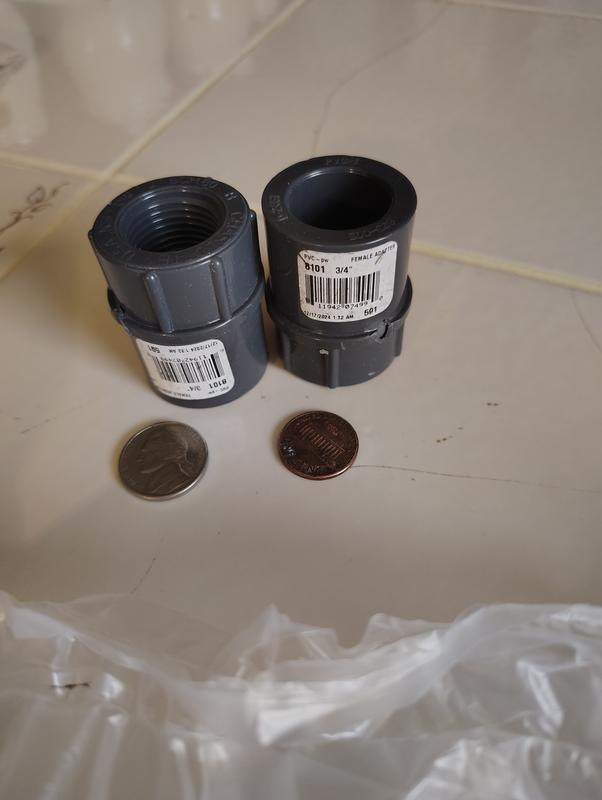 Shop Charlotte Pipe (5-Pack) 3/4-in. PVC SCH 80 Adapter - Maximum ...
