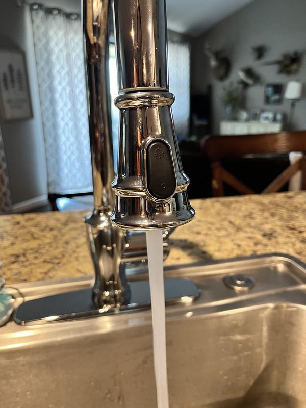 allen + roth Theo Chrome Single Handle Pull-down Kitchen Faucet with ...