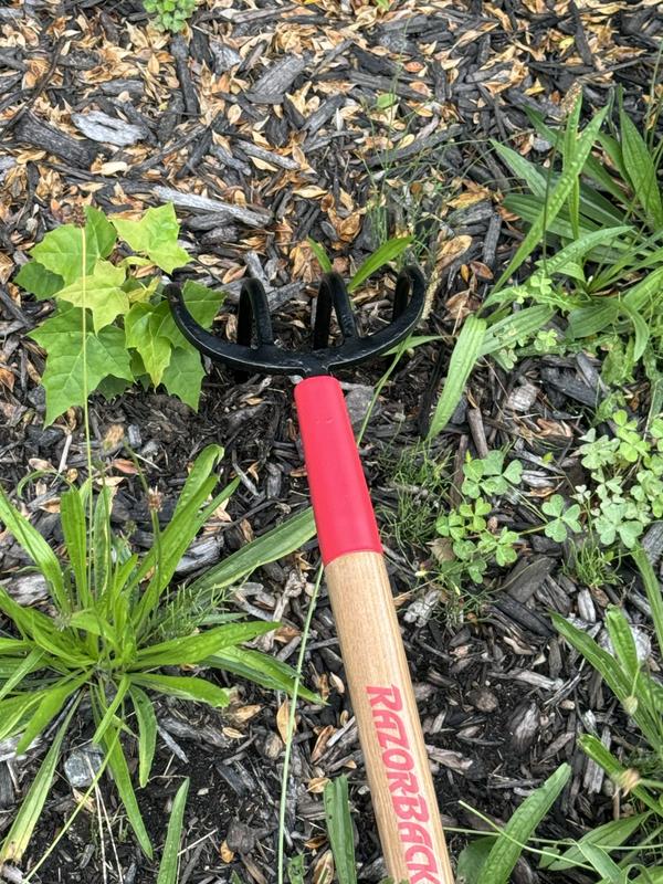 Razor-Back 54-in L Wood-Handle Steel Garden Rake 75144 at Lowes.com
