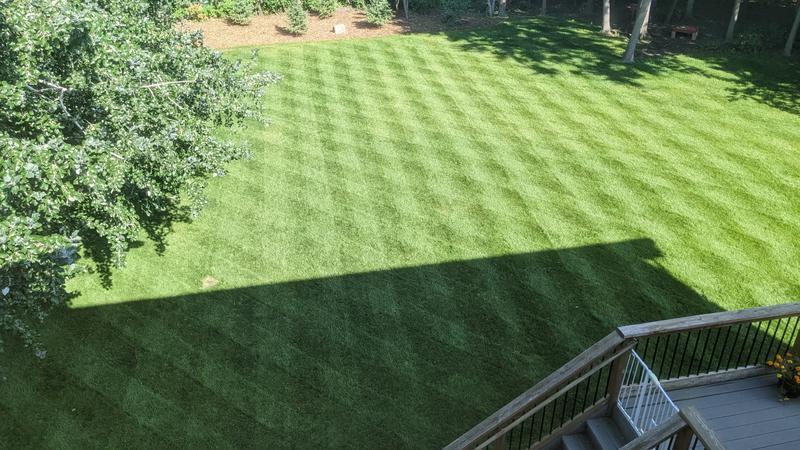 Lawn best sale striper lowes