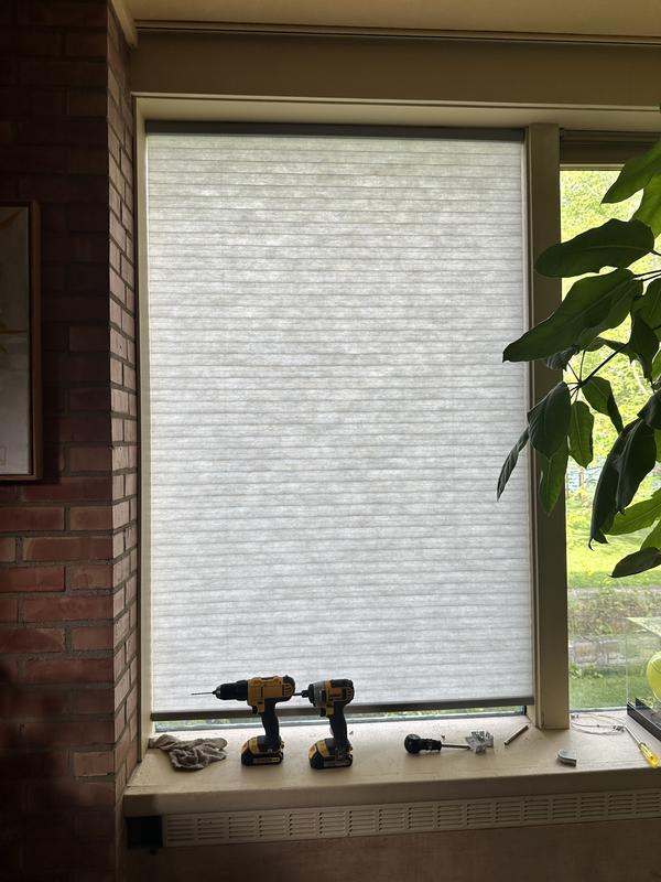 LEVOLOR 24-in x 72-in Textured Sand Light Filtering Cordless Cellular ...