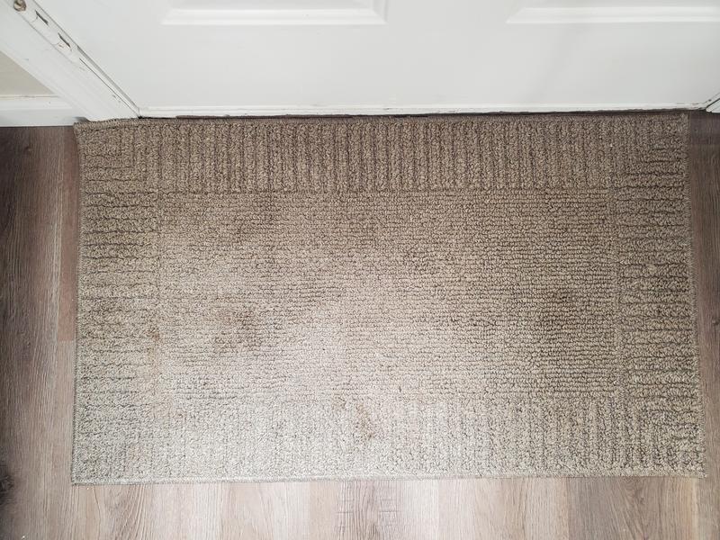 Style Selections 2 x 6 Mushroom Indoor Border Rustic Machine Washable  Runner Rug in the Rugs department at