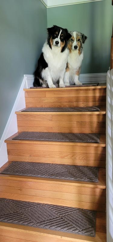 Bungalow Flooring Solid Red Rectangular Indoor or Outdoor