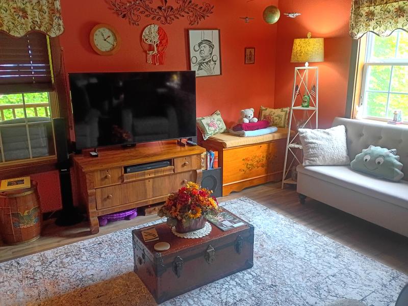 Origin 21 2 X 7 (ft) Rust Indoor Abstract Runner Rug 4-9924-209 at ...