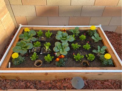 compost in a wood box  Kellogg Garden Organics™