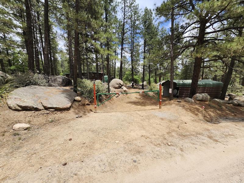 FIRST DEFENSE 11.76-ft x 2.37-ft Green Steel Driveway Gate in the ...
