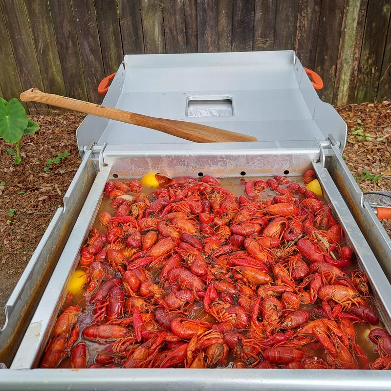 FEASTO 80QT Outdoor Propane Aluminum Boiling Pot with Basket, Crab  Steaming, Crawfish Boil, Seafood Boil Pot, Crawfish Cooker, Low Country  Boil Pot