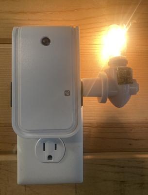 Eaton Z-Wave Plus wireless 125-Volt 2-Outlet Indoor Smart Plug in the Smart  Plugs department at