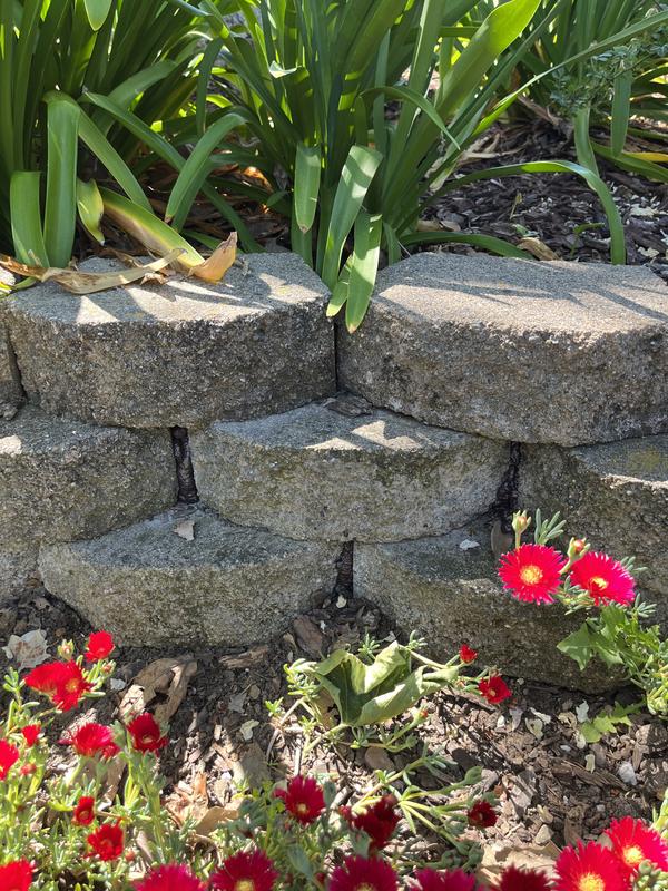 Spring is here, use GREAT STUFF® Pond & Stone to help in your
