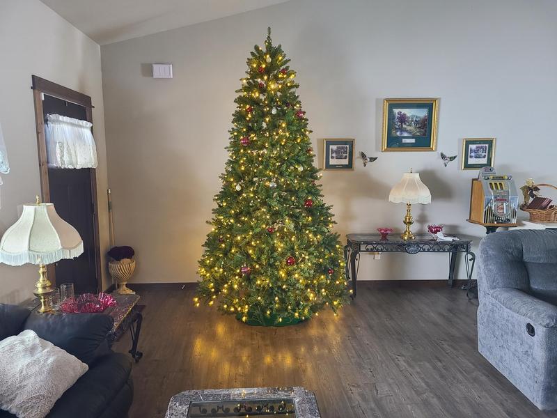 National Tree Company 12-ft Dunhill Fir Pre-lit Artificial National Tree Company 12-ft Dunhill Fir Pre-lit Artificial