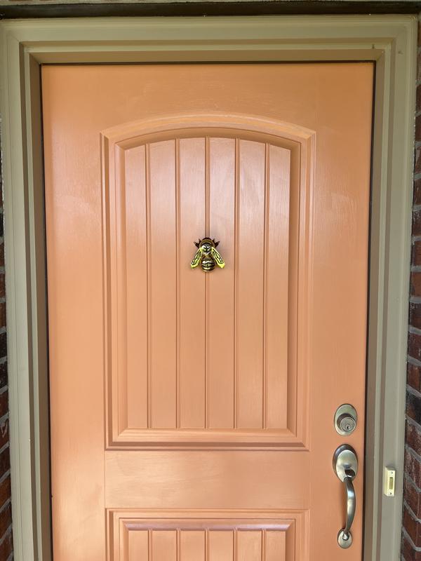 Michael Healy Polished Brass Solid Brass Door Knocker - 4-in Length, Easy  Surface Installation, Protective Coating in the Door Knockers department at