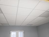 Common 24 In X 24 In Actual 23 704 In X 23 704 In Oasis 16 Pack White Smooth 15 16 In Drop Acoustic Panel Ceiling Tiles