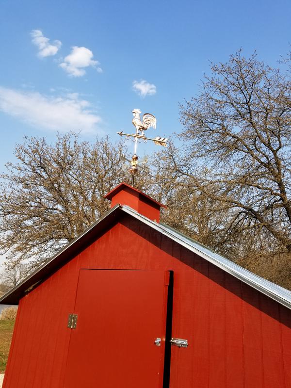 Valspar Barn and Fence Gloss White Oil-based Exterior Paint (5-Gallon) in  the Exterior Paint department at