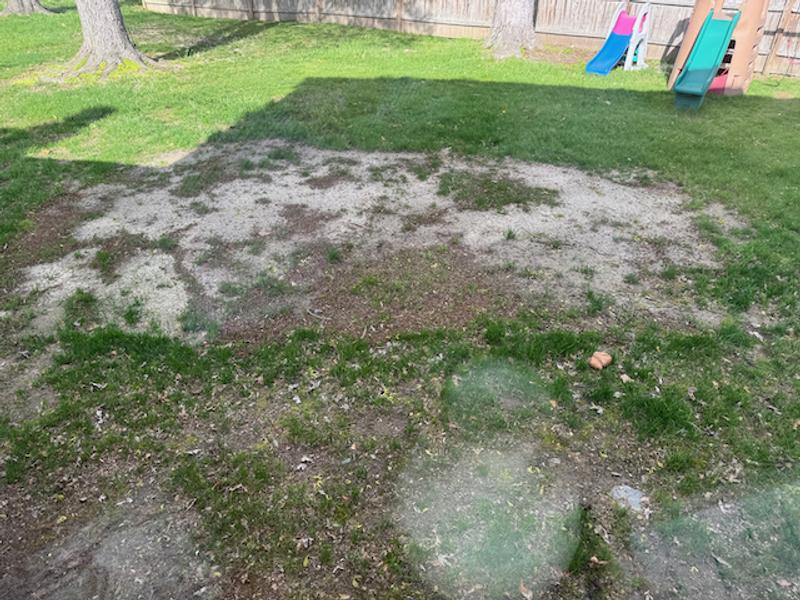 undefined 3-cu ft Organic Peat Moss Moisture Control undefined 3-cu ft Organic Peat Moss Moisture Control