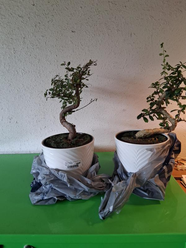 ceramic indoor plant pots Handmade Ceramic Indoor Plant Pot in Azure Blue