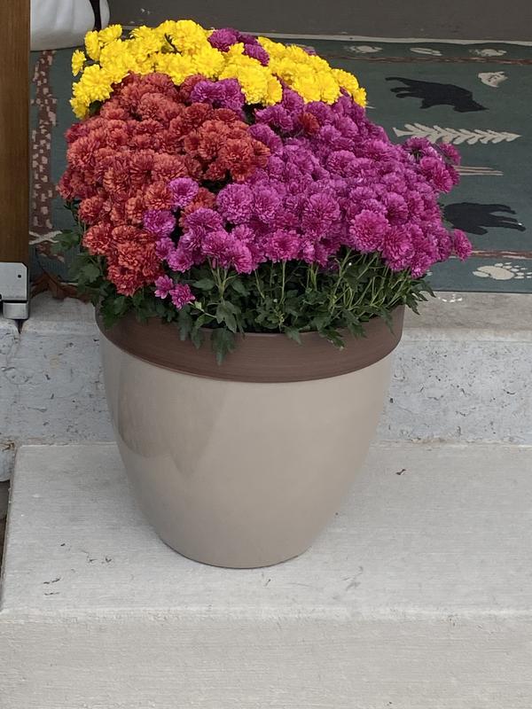 Southern Patio Round 15-in W Large Red Resin Outdoor Planter HDR ...