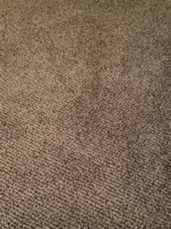Shaw Thunderstruck RR Impact Textured Carpet Sample (Interior) Shaw Thunderstruck RR Impact Textured Carpet Sample (Interior)