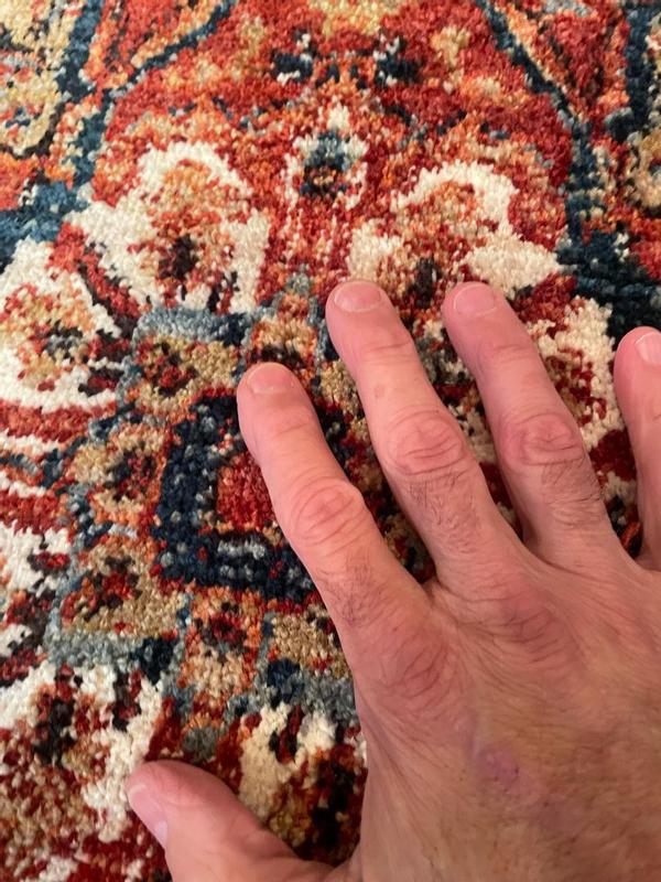 allen + roth with STAINMASTER Jezebel Performance 4 x 6 Garnet Indoor ...