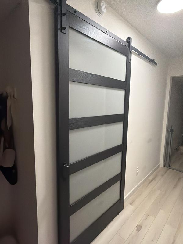 JUJUBON 42-in x 84-in White 5-Lite Frosted glass MDF Solid core Single ...