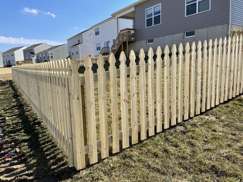 3/4 in. x 3-1/2 in. x 42 in. Pressure Treated Pine French Gothic Fence Pickets (6-Pack) 3/4 in. x 3-1/2 in. x 42 in. Pressure Treated Pine French Gothic Fence Pickets (6-Pack)