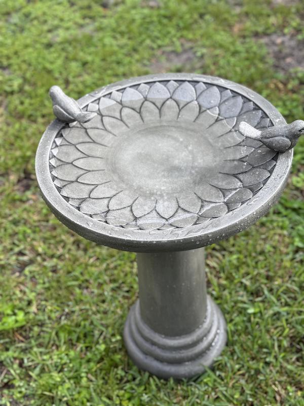 allen + roth 21-in H Gray Cement Complete birdbath in the Birdbaths ...