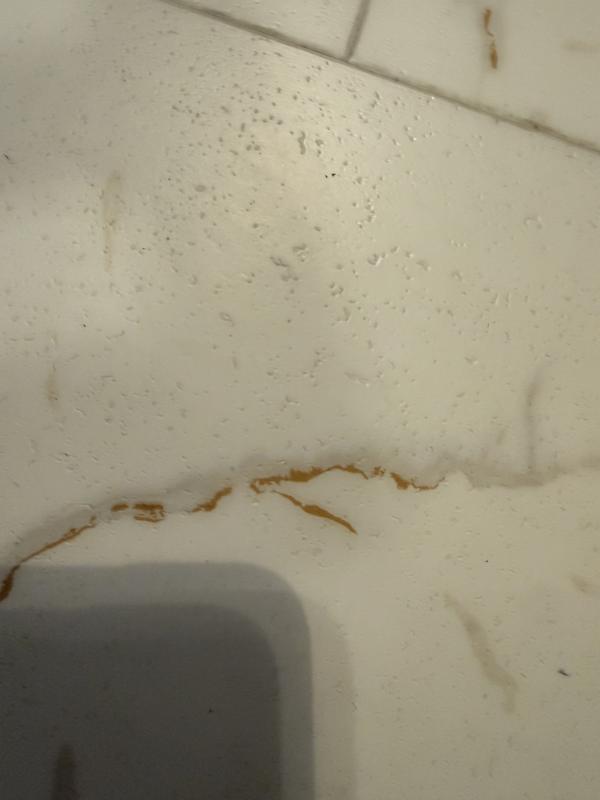 Pergo Rome Marble White Marble Look 22-mil x 12-in W x 24-in L ...