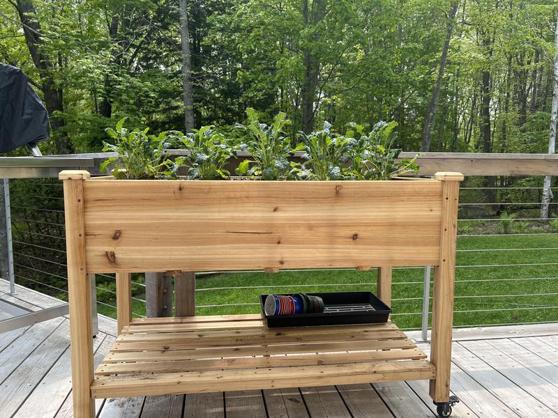 Wooden Four-Cube Self-Contained Raised Bed Garden Planter