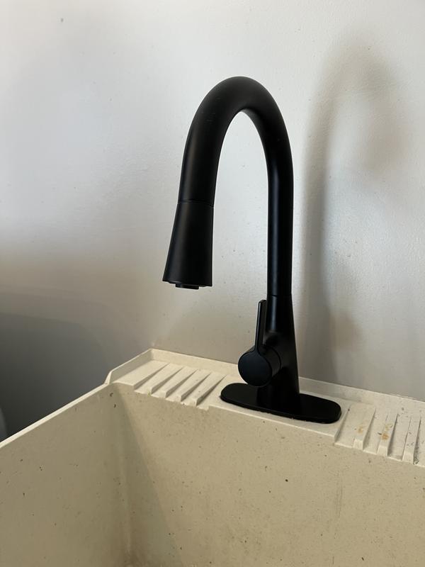 allen + roth Gillen Stainless Utility Faucet with Pulldown Sprayer