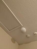 Covers Up Interior Multi Purpose Oil Based Wall And Ceiling Primer Actual Net Contents 13 Fl Oz