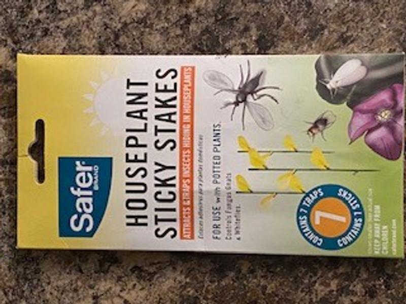 Safer Brand 5026 Houseplant Sticky Stake Insect Traps for Indoor Plants -  Controls Fungus Gnats, Whiteflies, Midges, Thrips, Fruit Flies, and Black  Flies - 1 Pack, 7 Traps 