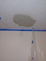 Popcorn Ceiling Patch 32 Fl Oz White Popcorn Ceiling Texture