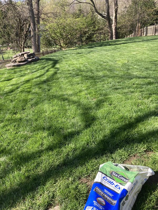 Greenview Crabgrass Control + Lawn Food 40.5-lbs. 15000-sq ft Pre