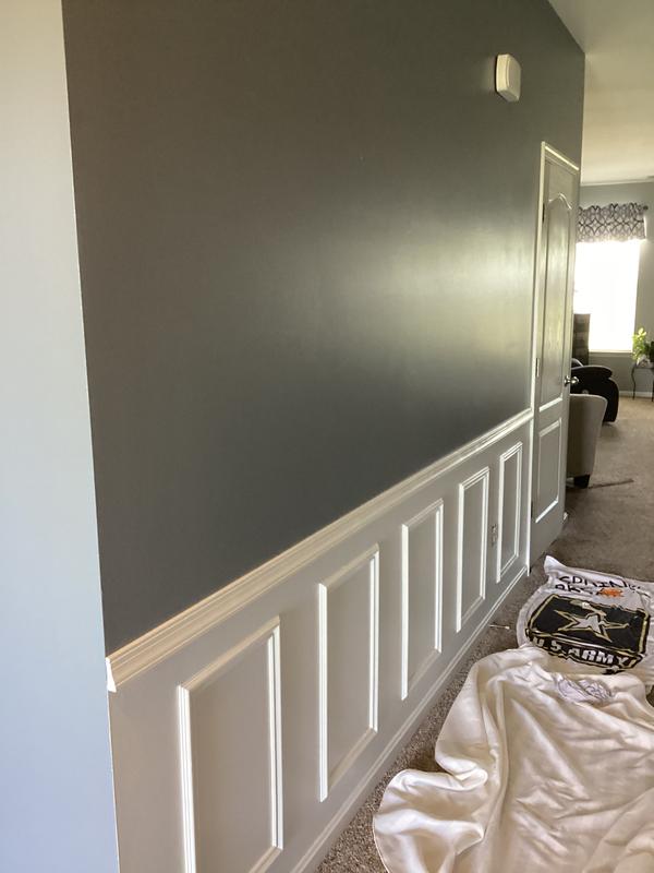 EverTrue Primed Polystyrene 1423 Preassembled Picture Frame Moulding at ...