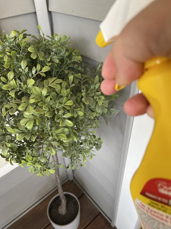 Final Stop® House Plant Insect Killer - Dr Earth