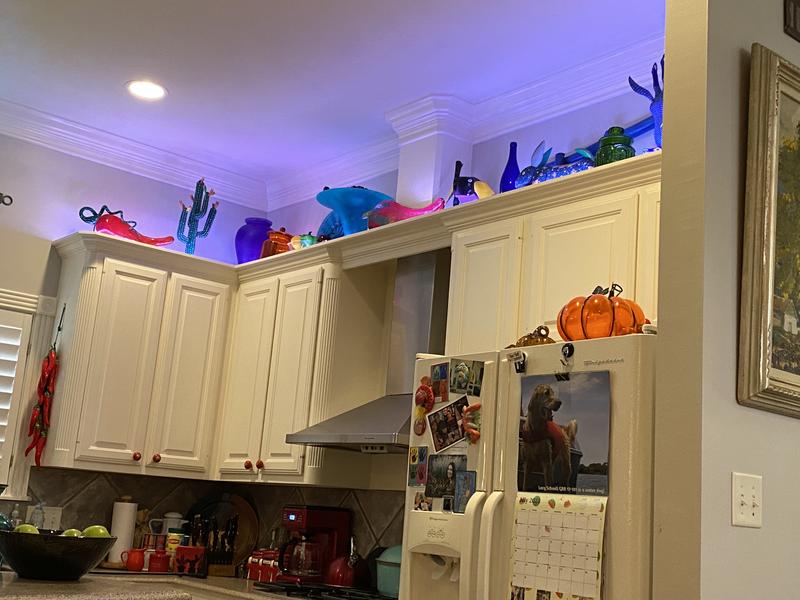 Good Earth Lighting LED Tape Light in the Decorative Rope & Strip ...