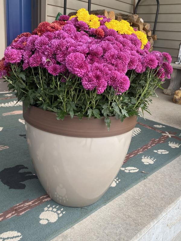 Southern Patio Round 15-in W Large Red Resin Outdoor Planter HDR ...