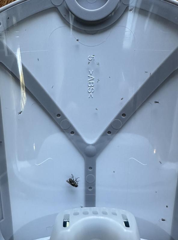 Zevo Flying Insect Trap Refill Cartidges, 2pk - Kroger