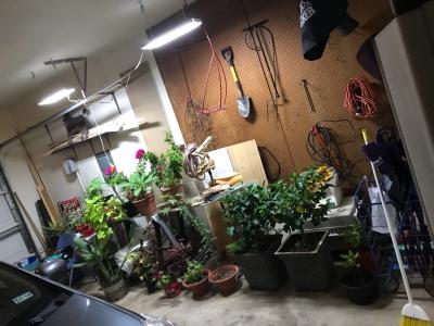 Lithonia Lighting 1.25 in 2 Light White 14 Watt Fluorescent Grow