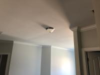 Project Source 4 Pack 11 In Brushed Nickel Transitional Led Flush